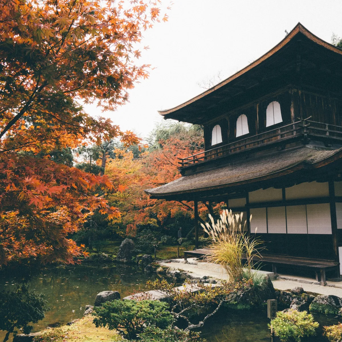 Japanese temple pavilion and pond framed by red and orange autumn maples in Kyoto