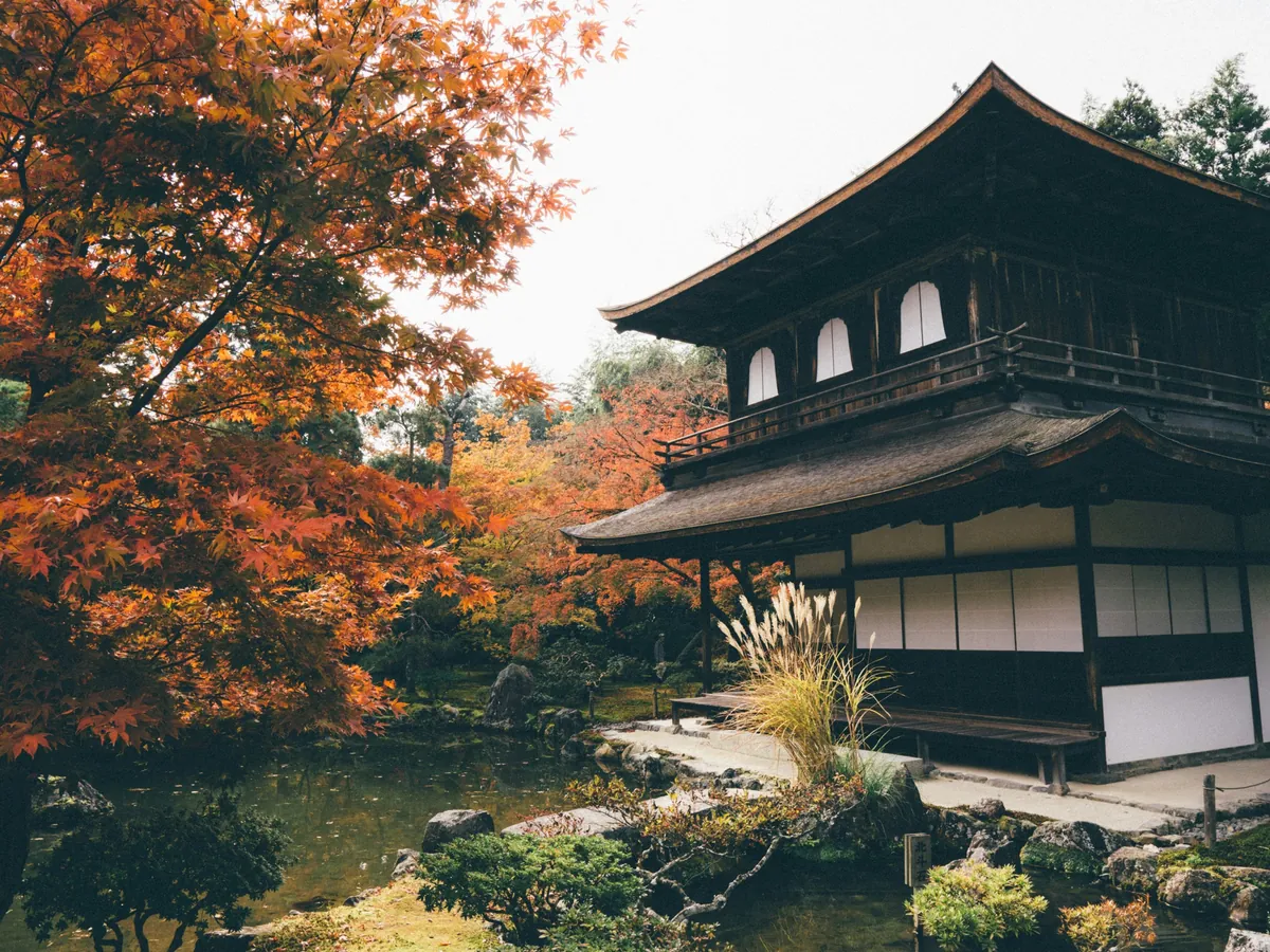 Japanese temple pavilion and pond framed by red and orange autumn maples in Kyoto