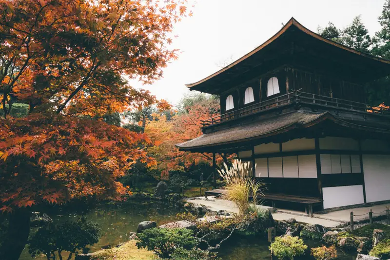 Japanese temple pavilion and pond framed by red and orange autumn maples in Kyoto