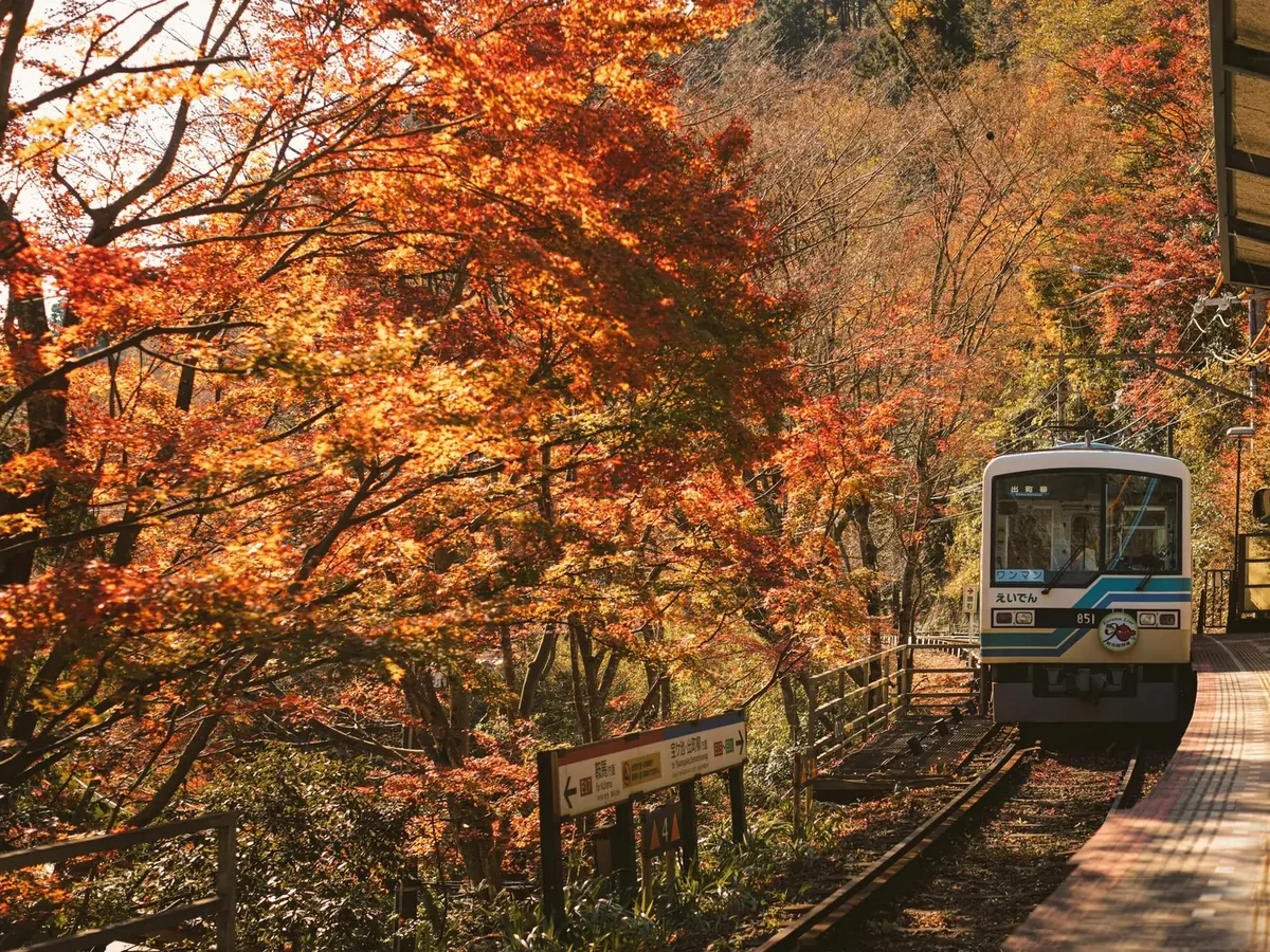 Autumn maple foliage framing an Eizan Railway train at a Kyoto mountain station during koyo season