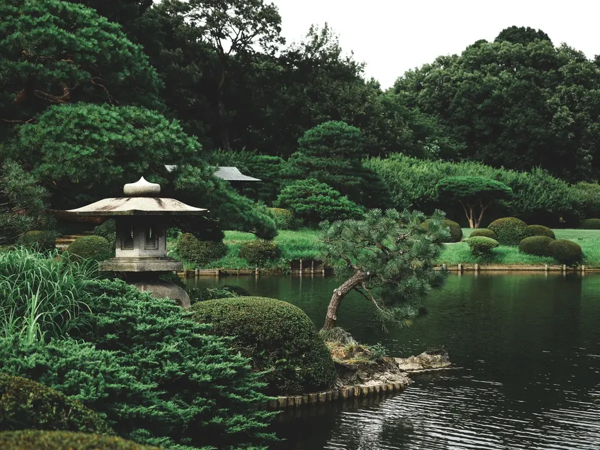 Traditional Japanese garden with stone lantern and pine tree over a pond — planning the perfect luxury trip to Japan