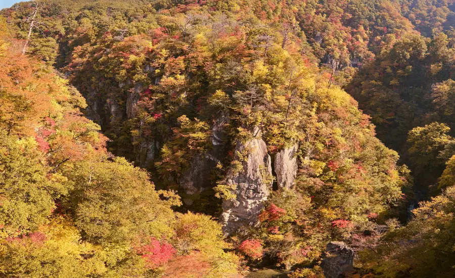 Mountainsides covered in red and gold autumn foliage at Naruko Gorge in northern Japan