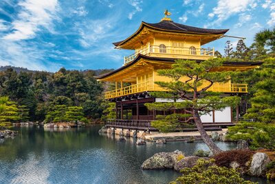 Traditional Kyoto temple with torii gates